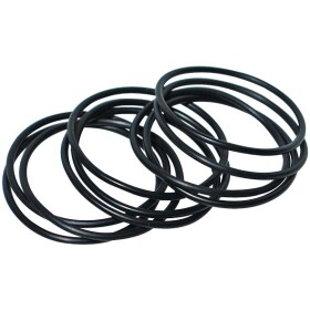 Nefit O-ring 10 pieces 04600S