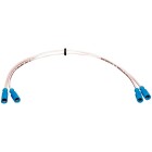 Ray Ignition cable 350 mm 612010670