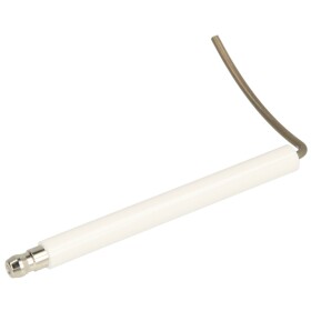 Abig Ionisation electrode 8718945-091