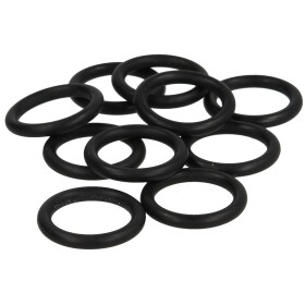 Junkers O-ring 10 pieces 87002051280