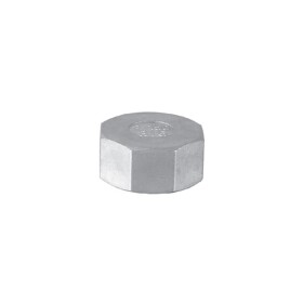 Stainless steel screw fitting cap with hexagon 4" IT