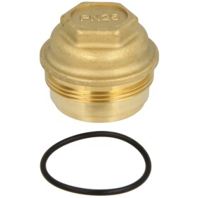 Honeywell brass filter bowl SM06T-½