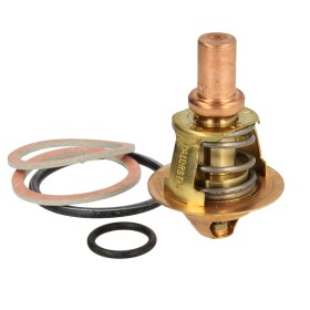 Frisquet Thermostatic valve 60&deg;C F3AA40021