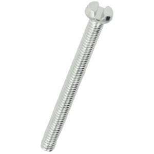 Slotted cheese head screw M 6 x 30 mm DIN 84 galv. zinc coated