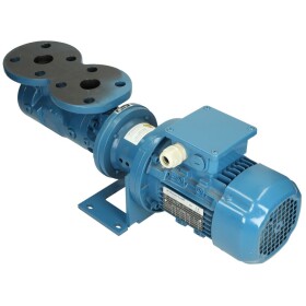 KFT-20/6pole, OEG screw pump DN 25, 498 l/h at 4 bar, 950...