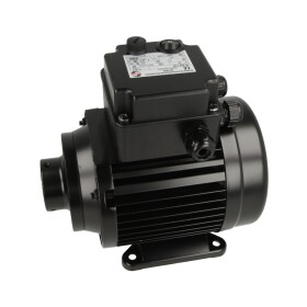 Motor, 90W, DE, incl. switch and safety base