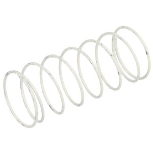 Dungs Spare set spring 2 white 5-13 mbar Rp 1/2 229818