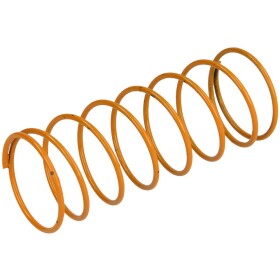 Dungs Spare set spring 3 orange 5-20mbar Rp 1 229844