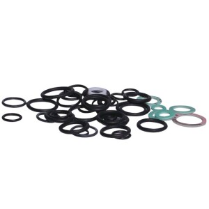 Frisquet Kit of gaskets F3AA40541